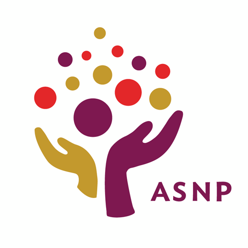 academy of special needs planners logo - top certified financial planners for special needs